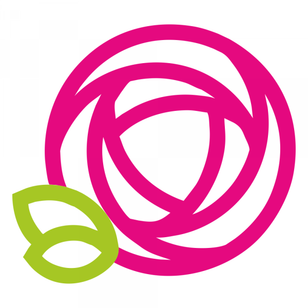 Логотип компании Нежная роза 24
