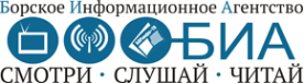 Логотип компании Борское Информационное Агентство