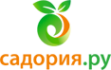 Логотип компании Садория